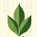 Natural ingredients symbol