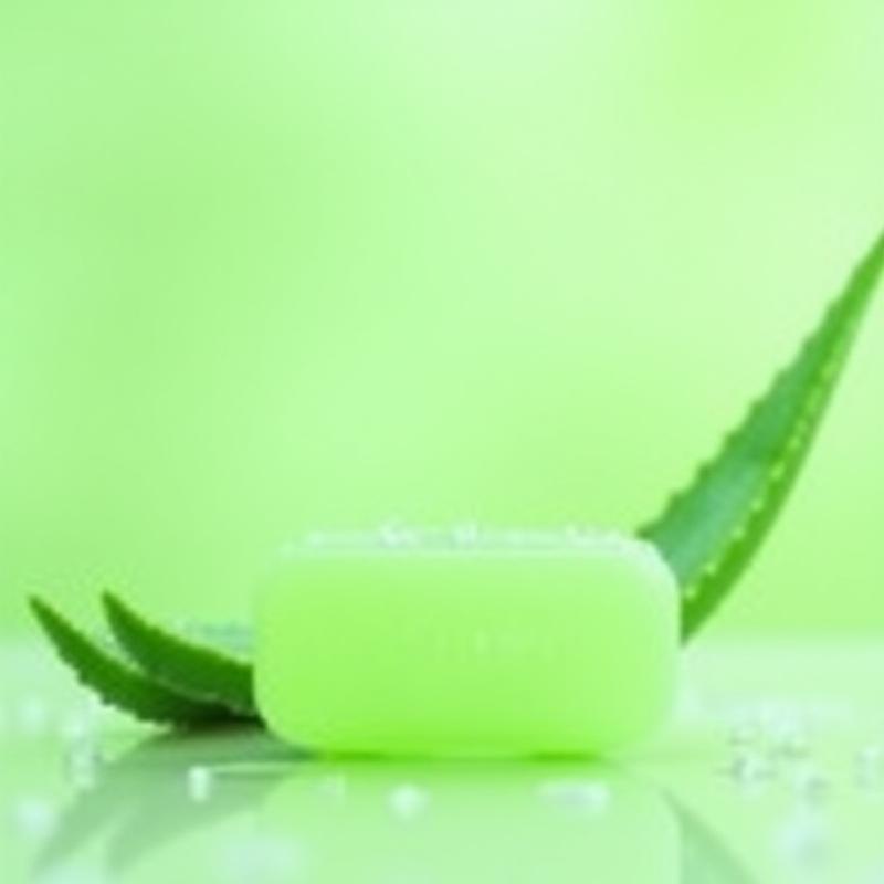 Aloe vera care hydrating hand soap